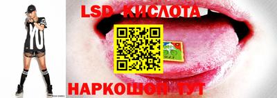 индика Можайск