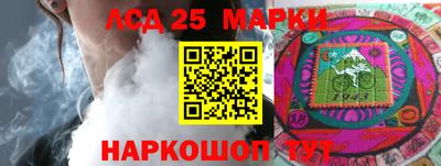 индика Можайск