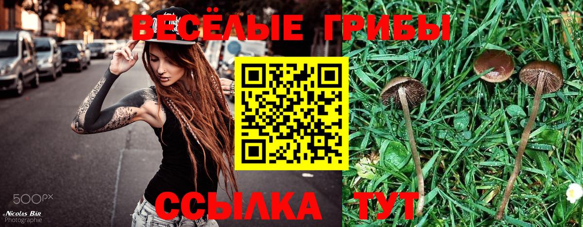 Псилоцибиновые грибы ЛСД Феодосия